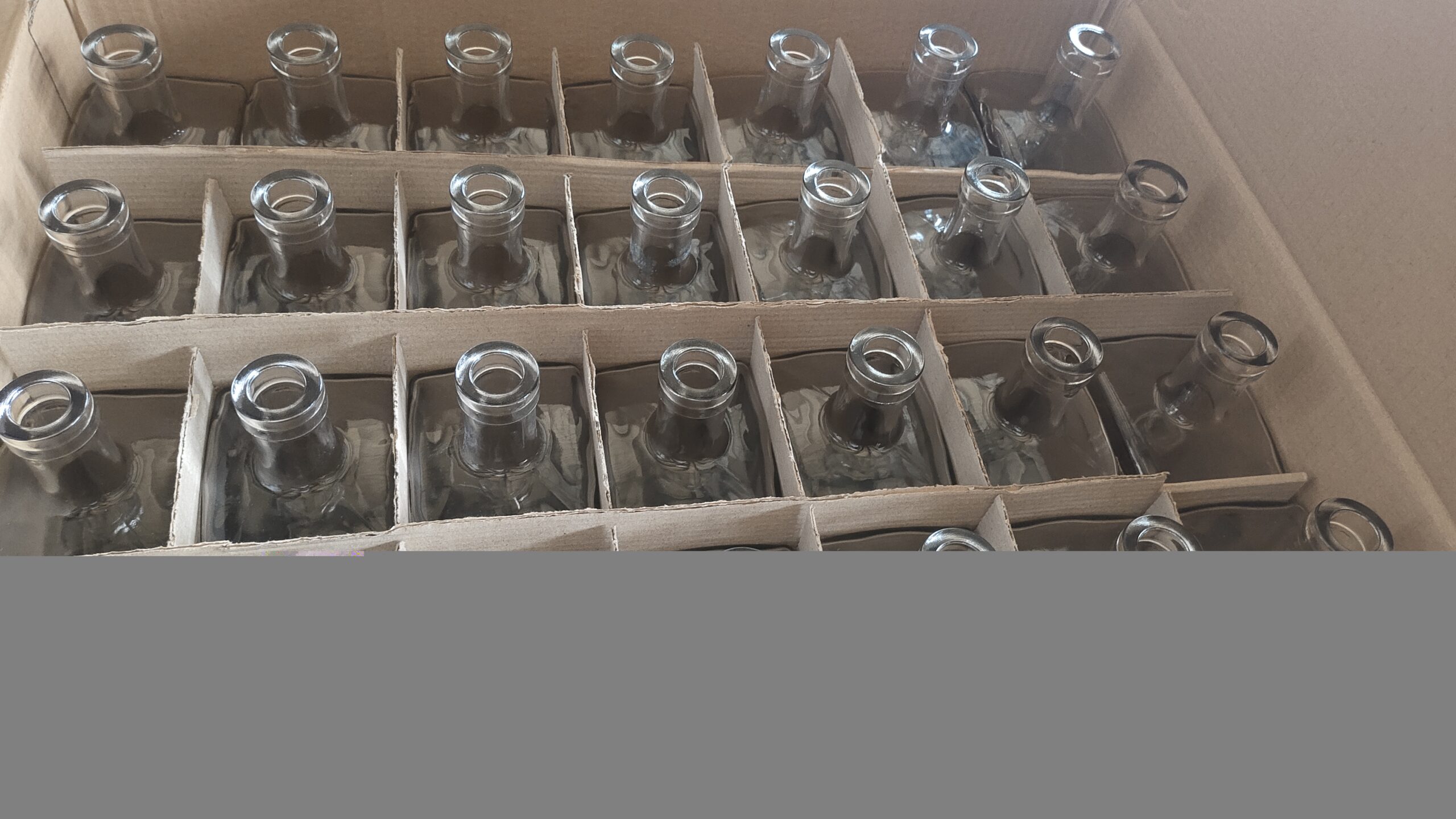 A carton of bottles, each bottle isolated in its own cardboard cell